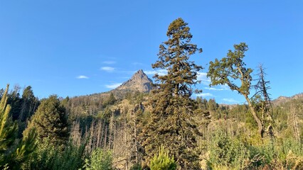 Nature photography in Nevado de Colima in Jalisco, Mexico © mario