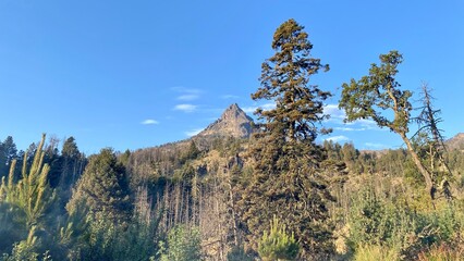 Nature photography in Nevado de Colima in Jalisco, Mexico © mario