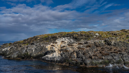 A colony of sea lions is resting, lying on the slope of a rocky island in the ocean. Cormorants are nearby. Clouds in the blue sky. Isla de los lobos. Argentina. The Beagle Channel. 
