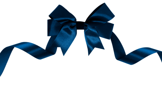 Dark Blue bow with ribbon, transparent and white background, PNG image.
