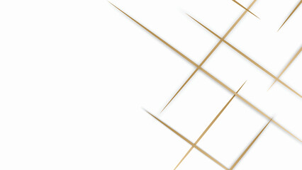 Vector premium white background with gold line and for wallpaper or power point