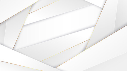 Vector premium white background with gold line and for wallpaper or power point