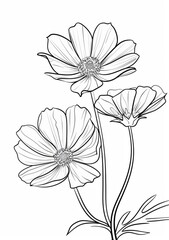 This is a simple, easy-to-color outline of a cosmos flower. It would be a great activity for kids who are learning to color. It would also be a fun way to introduce them to the beauty of nature.