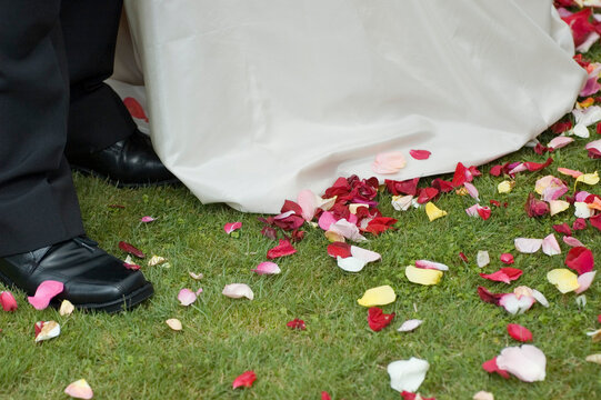 bride and groom
