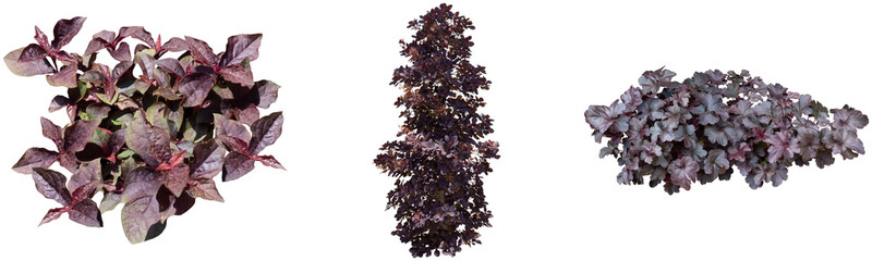 パープルカラーリーフ切り抜きセット透過PNG背景白