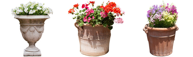 ゼラニウム、ペチュニア,リナリア鉢植え切り抜き透過PNG背景白