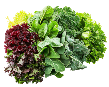 A colorful assortment of fresh leafy greens, including lettuce, spinach, and kale. Isolated on transparent background.