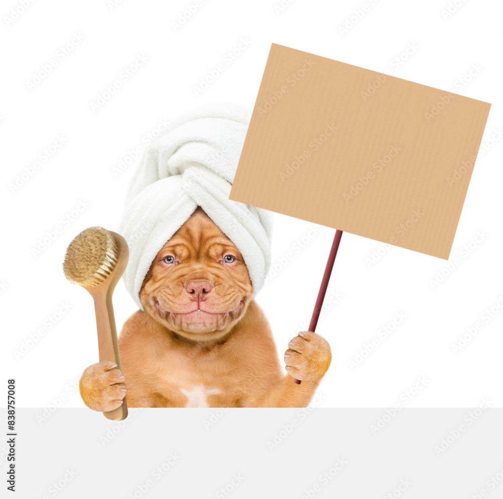 Aufkleber Funny Mastiff puppy with towel on it head holds  blank placard and shower brush above blank white banner. Empty space for text. isolated on white background