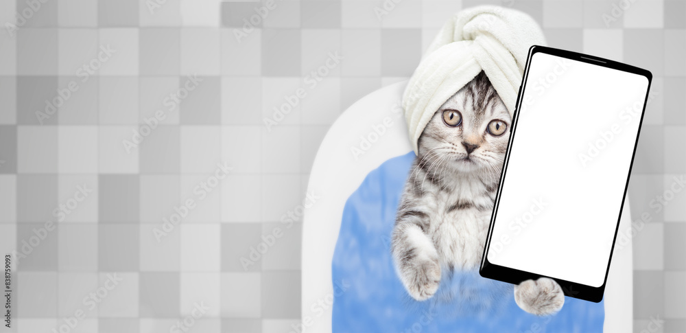 Fototapete cute kitten with towel on it head takes the bath at home and shows big smartphone with white blank s