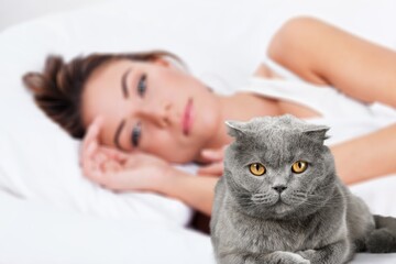 Person falls asleep with cute cat at bed.