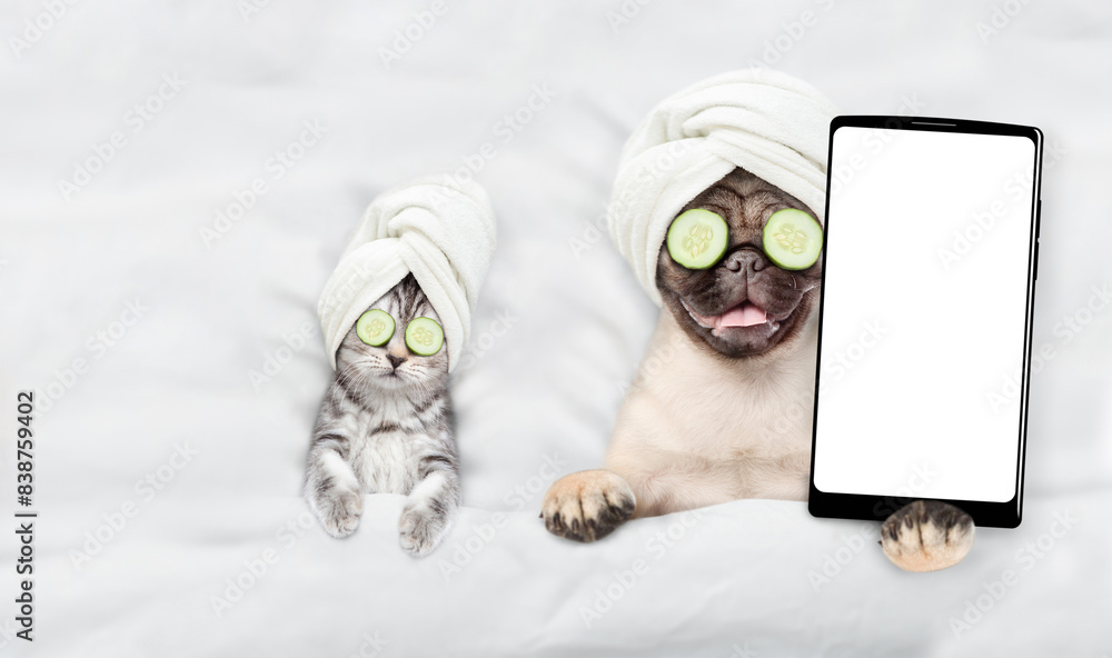 Poster funny kitten and pug puppy with towel on their heads, with a pieces of cucumber on their eyes relaxi