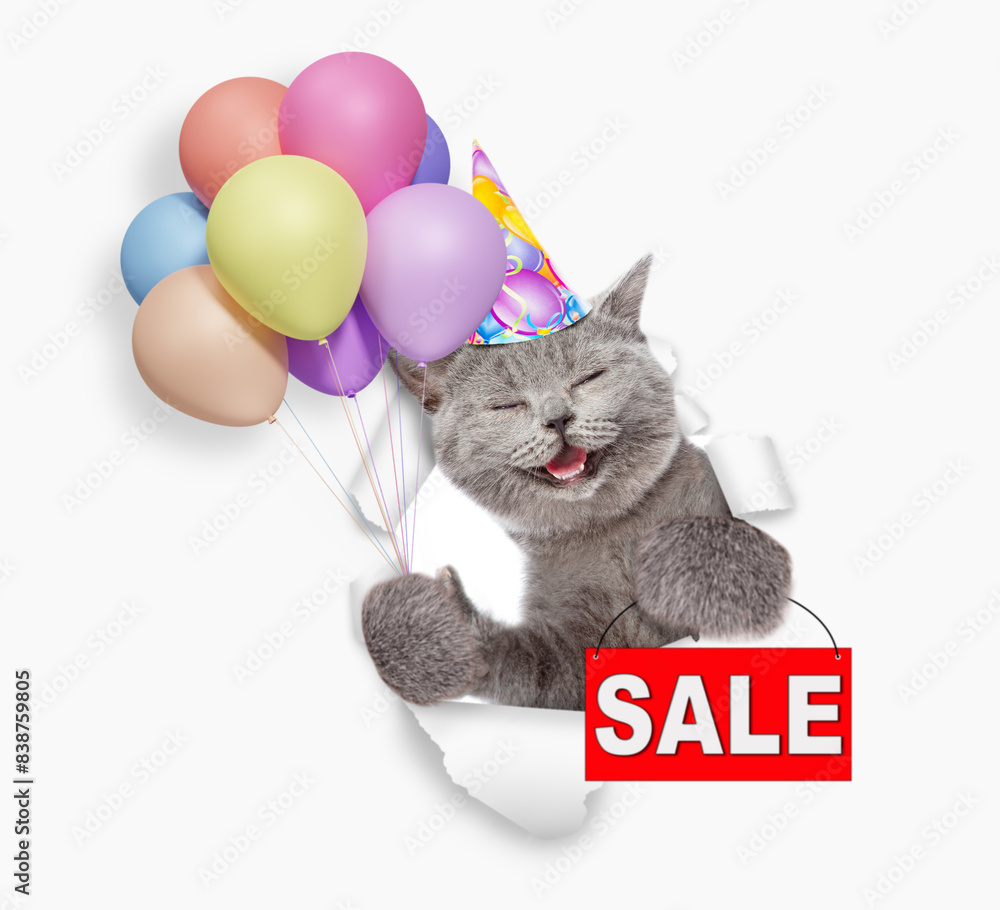 Poster happy cat wearing party cap holding balloons and looking through the hole in white paper and showing