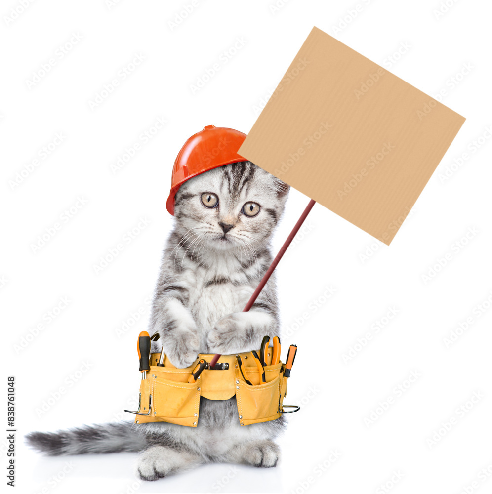 Poster Funny cat worker with toolbelt and hardhat shows empty placard.  Isolated on white background