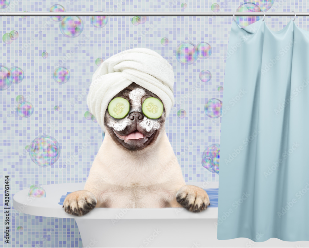 Aufkleber Happy Pug puppy with towel on it head, with pieces of cucumber on it eyes and with cream on it face takes the bath at home with rubber duck