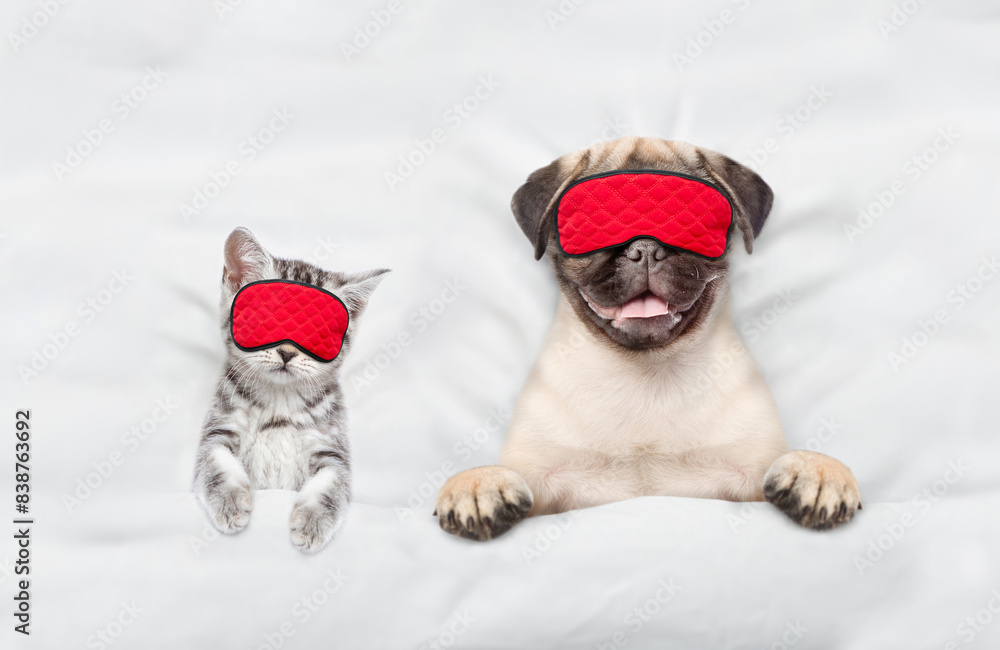 Aufkleber pug puppy and tiny kitten wearing sleeping masks sleep together on a bed at home. top down view