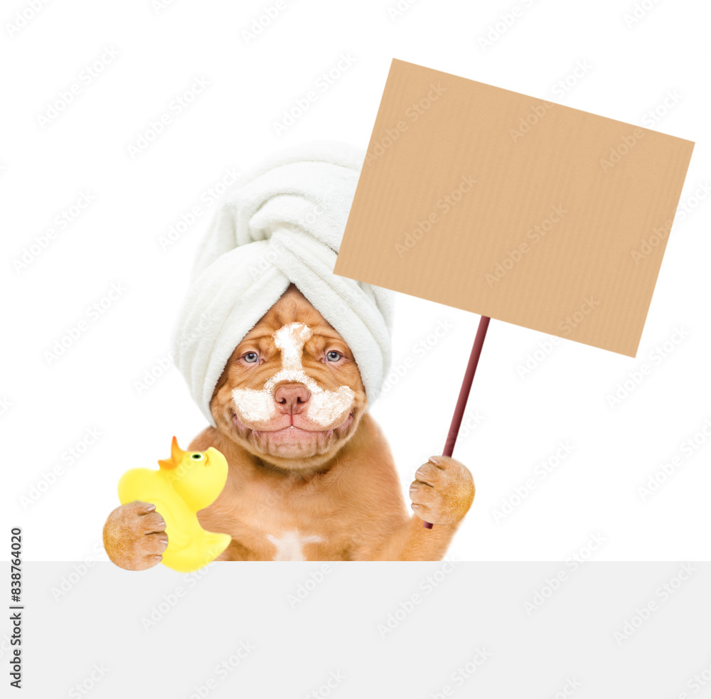 Poster happy mastiff puppy with towel on it head, with cream on it face holds rubber duck and blank placard