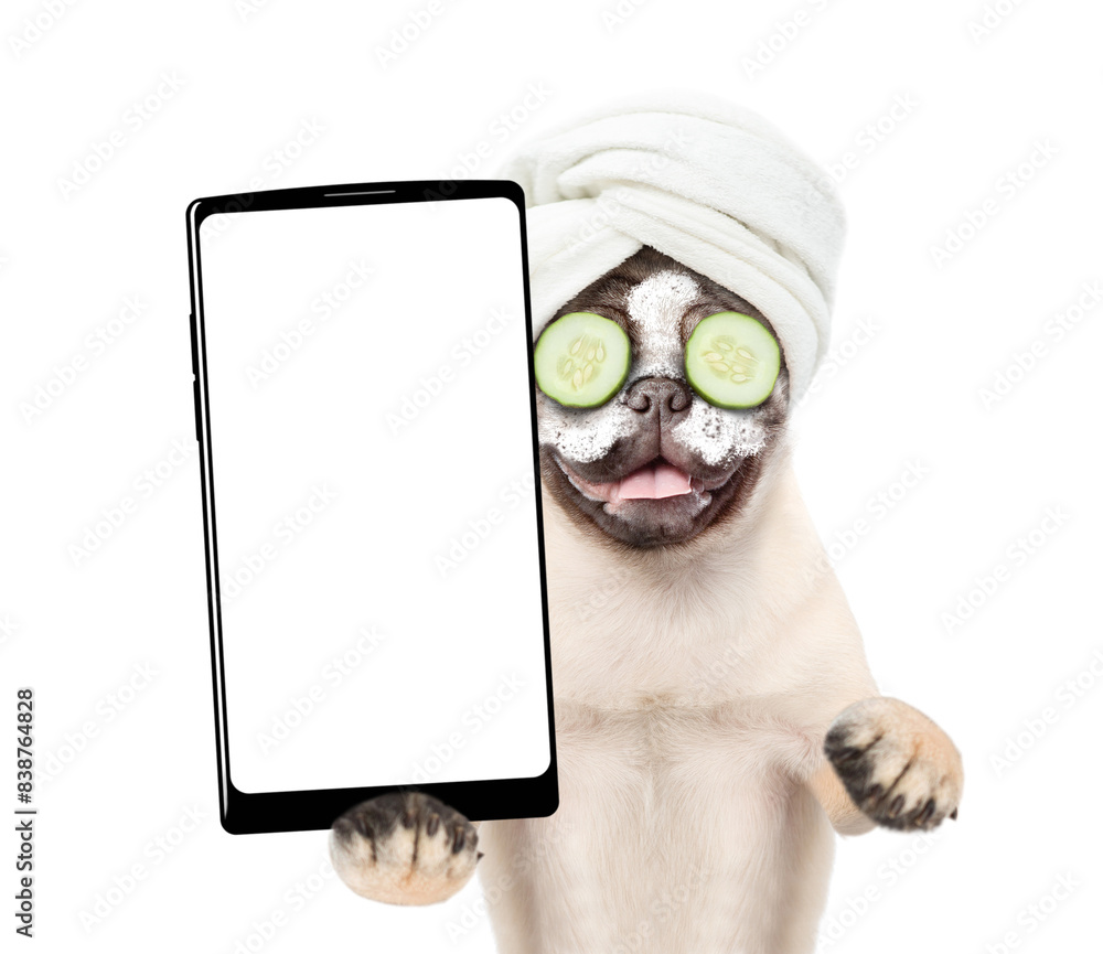 Aufkleber Funny Pug puppy with towel on it head and with  pieces of cucumber on it eyes holds big smartphone with white blank screen in it paw. isolated on white background