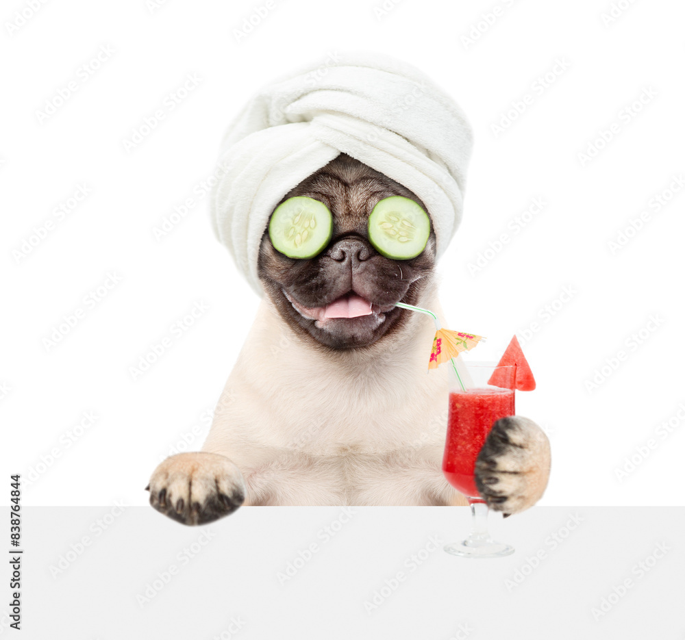 Aufkleber Funny Pug puppy with towel on it head and with a piece of cucumber on it eyes holds watermelon cocktail above blank white banner. isolated on white background