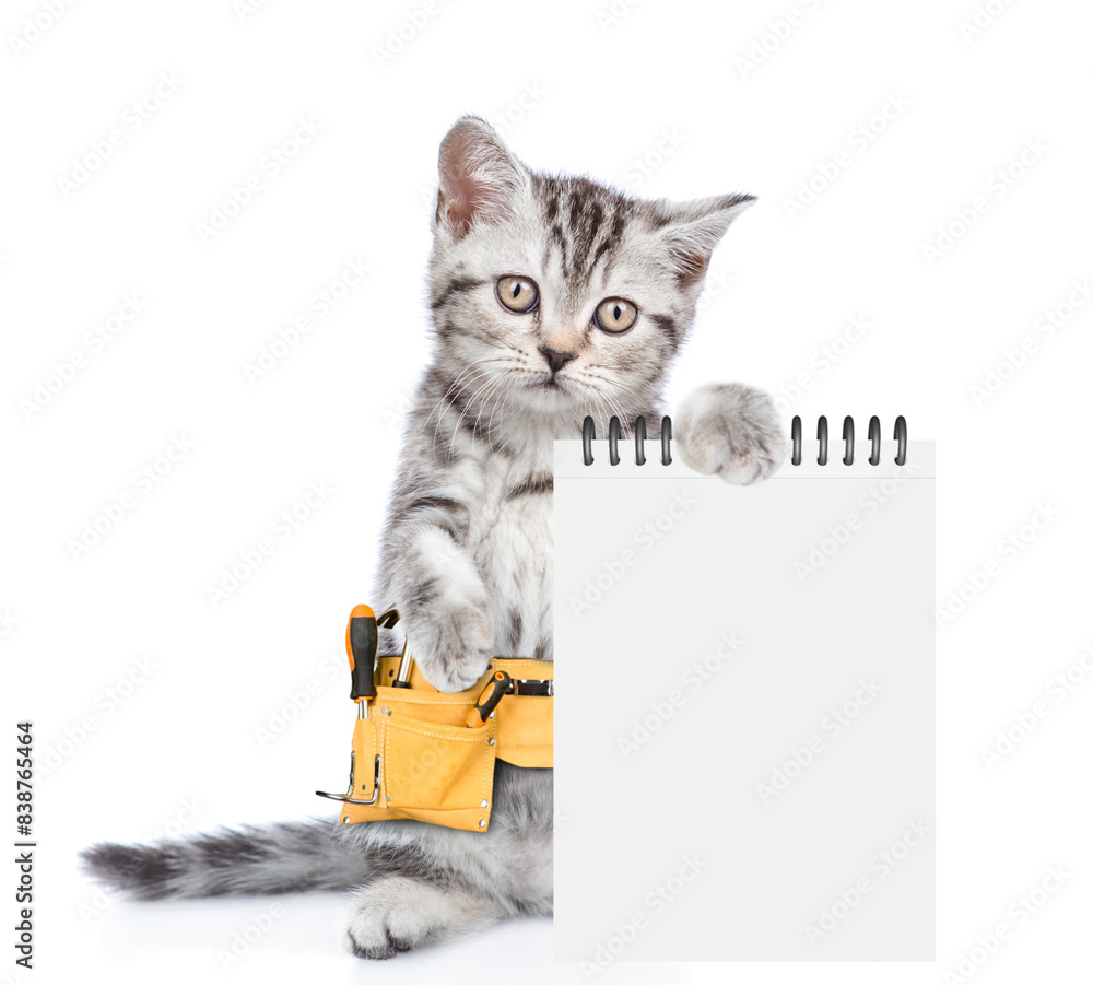 Aufkleber funny cat wearing toolbelt shows blank notepad. isolated on white background
