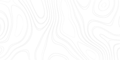 Topographic map lines background. Outdoor pattern of topographic line map. Vector line pattern. Abstract vector illustration.