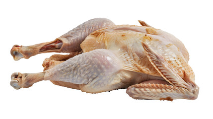 Raw whole turkey isolated on white background. Fresh poultry meat ready for cooking. Perfect for Thanksgiving and festive meals.