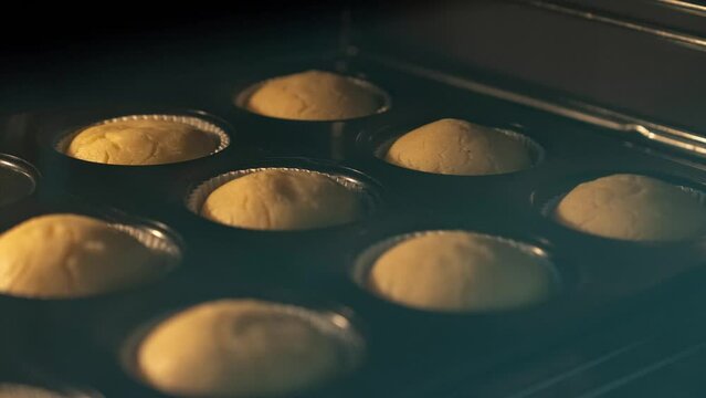 Timelapse of cupcake muffins rise while baking in oven