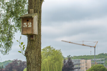 Numbered birdhouses for city services for bird counting and observation