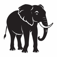 elephant silhouette on white background