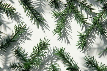 Obraz premium Close up of a green tree branch with leaves