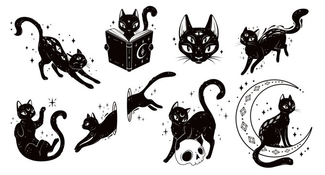 Magical mystic black cats. Vector set of whimsical feline animal silhouettes in playful poses. Kitten jump in hole, surrounded by stars, reading a book, perched on a crescent moon, standing on a skull