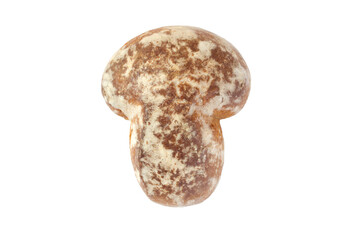Fototapeta premium Gingerbread in the form of a mushroom isolated on a white background. Gingerbread close-up.
