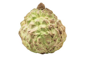 Fototapeta premium Closeup of a Sugar Apple