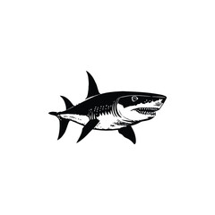 Vector Silhouetted  White Background