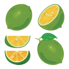 グリーンレモンの断面セット