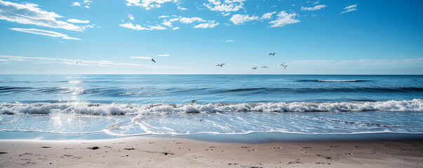 seagulls on the beach