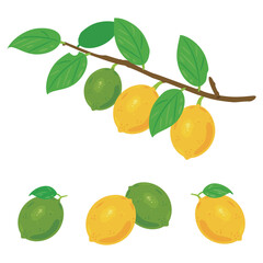 レモンの実がついた枝