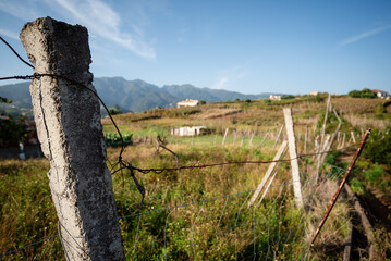 Stone fence in a field with distant mountains