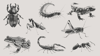 retro halftone effect, for grunge punk y2k collage art. Vector design in stipple half tone illustration for magazine, banner