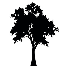 Big Tree vector silhouette black color illustration, a tree with branches vector silhouette