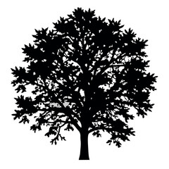 Big Tree vector silhouette black color illustration, a tree with branches vector silhouette