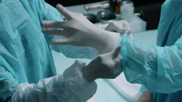 Cropped shot of young Black female medical assistant helping Caucasian male surgeon by putting on gloves on his clean hands, both wearing disposable blue gown while preparing for surgery operation