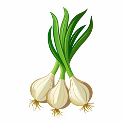 spring-onions-paint-on-white-background