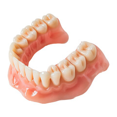 Obraz premium Beautiful Removable Denture Teeth on a Transparent Background