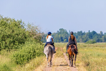 Women riding a horses on a trail in a meadow a sunny summer day