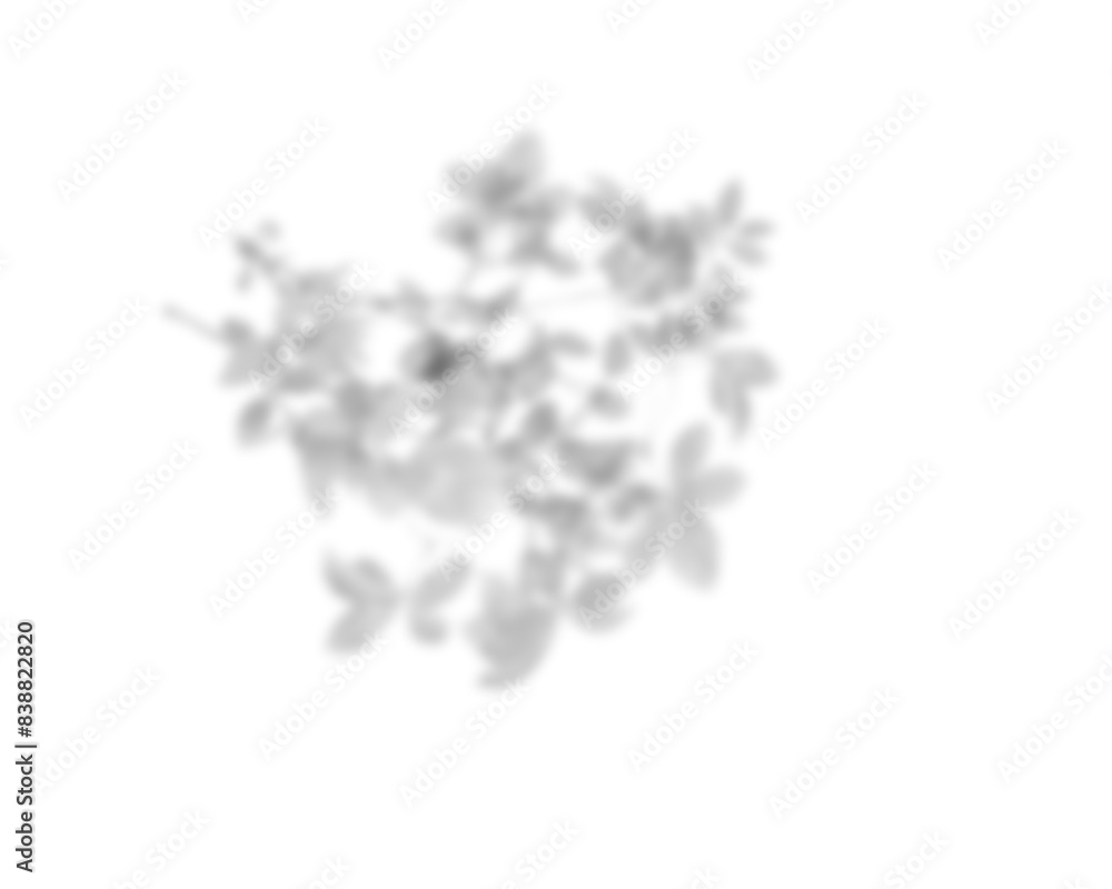 Poster palm leaf shadow overlay effect. tropical leaves shadows. leaves shadow overlay, isolated branches l