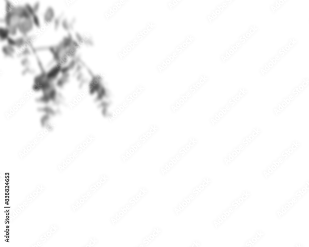 Leinwandbilder Natural palm branch shadow on transparent background. Tropical palm leaf shadow overlay effect. Realistic leaves shadow sunshade isolated on transparent backgrounds. Realistic tree branches shadow