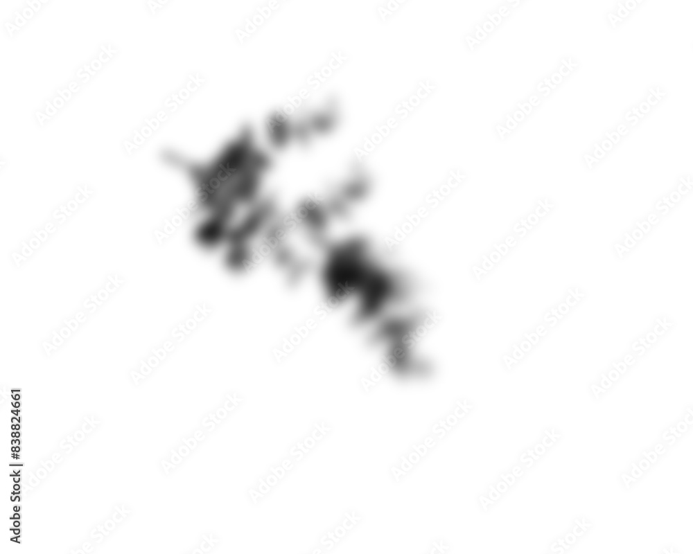 Poster natural palm branch shadow on transparent background. tropical palm leaf shadow overlay effect. real