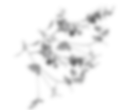 Natural palm branch shadow on transparent background. Tropical palm leaf shadow overlay effect. Realistic shadow leaves sunshade isolated on transparent backgrounds.