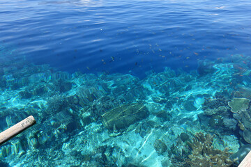 Indonesia Alor Island - Reef edge with fish trap