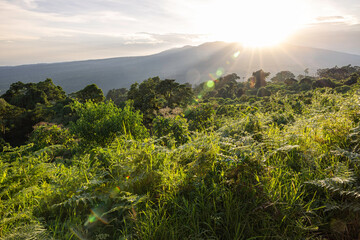 the sun sets over the mountains of western Tanzania